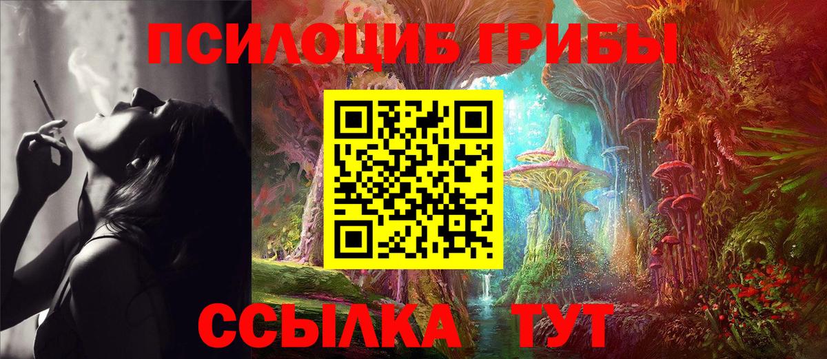 где можно купить   Вход с VPN  Лангепас  Галлюциногенные грибы Psilocybine cubensis 