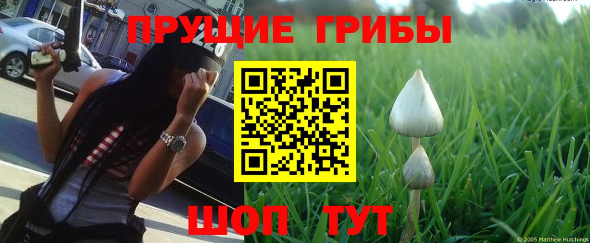 Псилоцибиновые грибы Magic Shrooms Лангепас